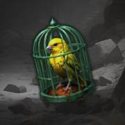 Canyon Riches: Uccello