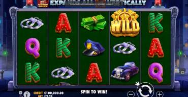 Cash Patrol: Tema