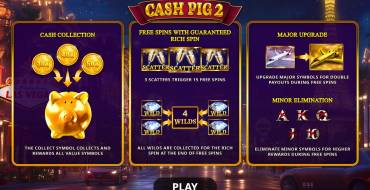 Cash Pig 2: Caratteristiche uniche