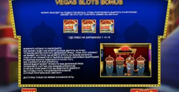 Cat in Vegas: Bonus
