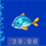Catch 22: Pesce