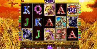 Cats: Slot machine