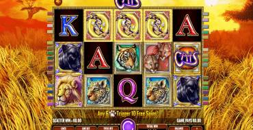 Cats: Vincite