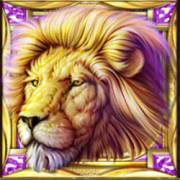 Cats: Leone