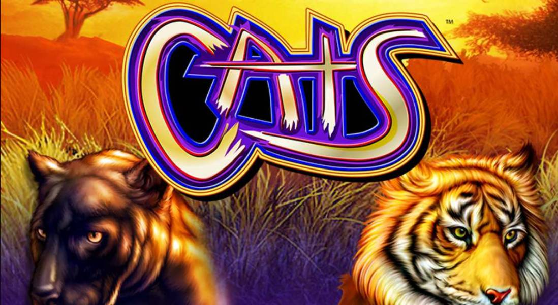 Cats