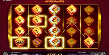 Chance Machine 100 Dice: Vincite
