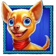 Chilli Heat Spicy Spins: Cagnolino