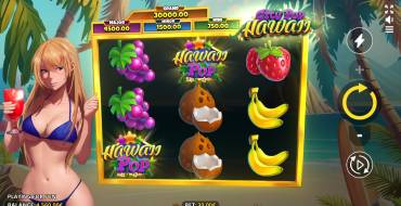 City Pop Hawaii: Interfaccia