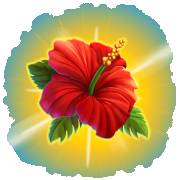 City Pop Hawaii: Loto rosso