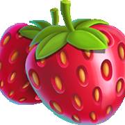 City Pop Hawaii: Fragole