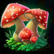 Clover Gold: Funghi