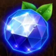 Clover Lady: Mirtilli