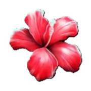 Club Tropicana — Happy Hour: Fiore
