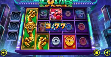 Coins of Fortune: Giri di parole