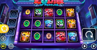 Coins of Fortune: Interfaccia