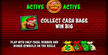 Cops`n`Robbers Bigger Big Money: Caratteristiche uniche