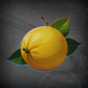 Cosmic Jokers: Limone