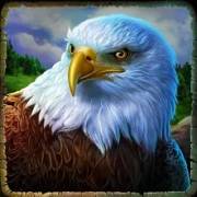 Cougar Cash: Aquila