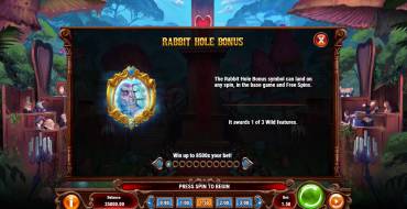 Court Of Hearts: Caratteristiche