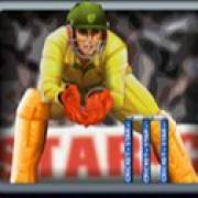 Cricket Star: Un giocatore con la divisa gialla
