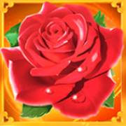 Cupid: Rosa