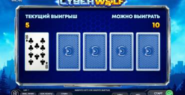 Cyber Wolf: Gioco del rischio