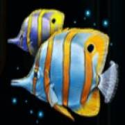 Deep Sea Fortune: Pesce