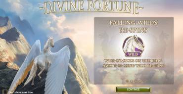 Divine Fortune: Simboli