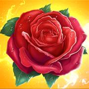Divine Links: Spargimento