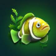 Dolphin Riches Hold and Win: Pesce