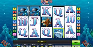 Dolphin’s Pearl: Slot machine
