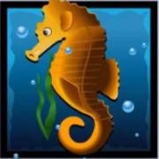 Dolphin’s Pearl: Cavalluccio marino