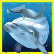 Dolphin’s Pearl: Delfino