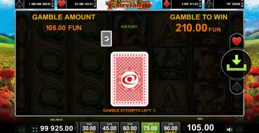 Dorothy`s Fairyland: Gioco del rischio