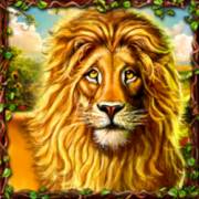 Dorothy`s Fairyland: Un leone codardo