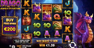 Drago: Jewels of Fortune: Interfaccia