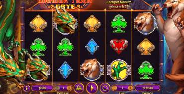 Dragon Tiger Gate: La schermata principale