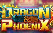 Slot Dragon vs Phoenix