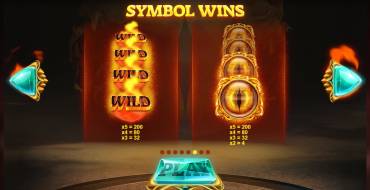 Dragon's Fire: Regole