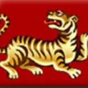 Dragons Pearl: Tigre