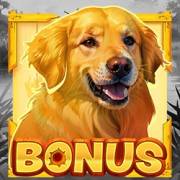 Duck Hunt 500: Bonus, Scatter