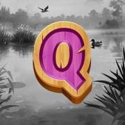 Duck Hunt 500: Q