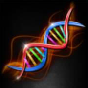 Einstein: Eureka Moments: DNA umano