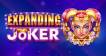 Slot Expanding Joker