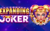 Slot Expanding Joker