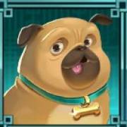 Fat Banker: Carlino