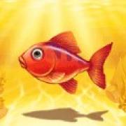 Fishin Bonanza: Pesce