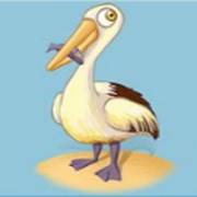 Fishin' Frenzy Megaways: Pellicano