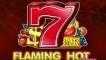 Slot Flaming Hot Extreme