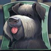 Flodder: Cane